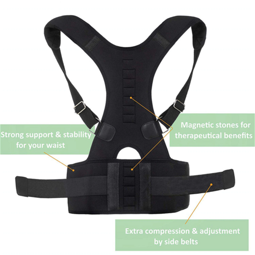 Chef's Posture Corrector